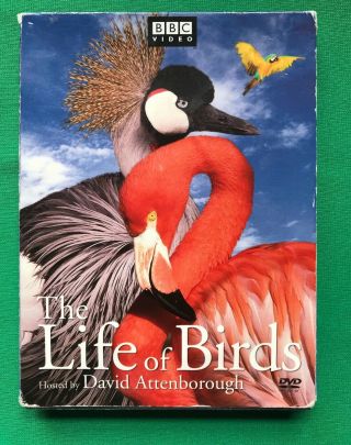 The Life Of Birds (dvd,  2002,  3 - Disc Set) David Attenborough,  Bbc Video Rare Oop
