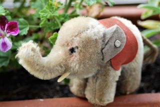 Antique Steiff Mini Elephant Extremely Rare - 1950 