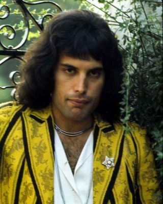 Freddie Mercury & Queen Hard To Find Rare 8x10 Photo 37