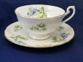 Shelley Blue Poppy Flower Teacup & Saucer Rare Lincoln Shape Vintage 14168
