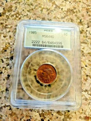 Rare 1905 U.  S.  Indian Head Penny Pcgs Certified Ms 64 Rd Detail Red N/r