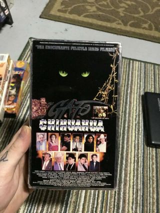 Gato Chihuahua Mexi Spanish Big Box Slip Rare Oop Vhs