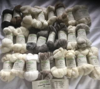 Woolgatherings 24 Breed Wool Fiber Sampler - Rare Spinner’s Study - Complete Set