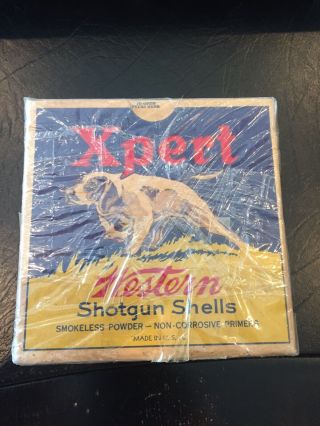 Very Rare Antique Western Xpert Shotgun Shot Shell Box 12 Ga W/pointer Dog Empty