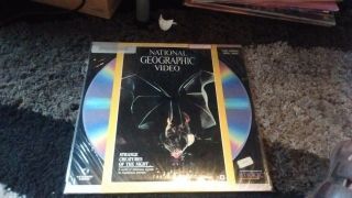 National Geographic Video: Strange Creatures Of The Night Laserdisc Ld Very Rare