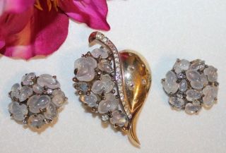 Rare Crown Trifari Signed Acorn Lucite Stones Fur Clip Pin And Earrings Wow