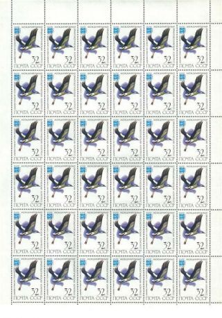 Russia 1982 Sc 5050 - 55 Rare Birds 6 Full Sheets Mnh