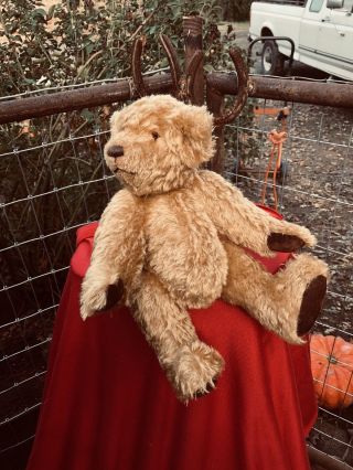 Rare Antique American German Jointed Teddy Bear Golden Brown Mohair