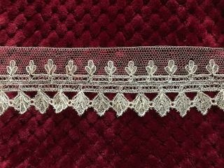 Rare Antique Bobbin Lace Edging With A Double Rows Leaves 1.  75 Yard By 2 1/2 "