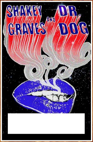 Dr Dog | Shakey Graves Tour 2019 Ltd Ed Rare Poster,  Rock Folk Poster