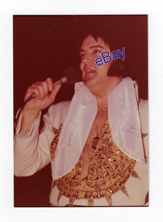 Elvis Presley Kodak Concert Photo May 1977 - Jim Curtin Vintage Rare