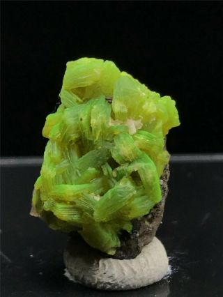 1.  8g Natural Rare Green Autunite Crystal Cluster Display Mineral Specimen 2