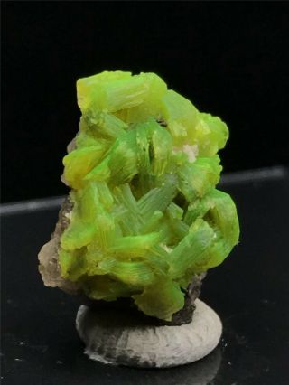 1.  8g Natural Rare Green Autunite Crystal Cluster Display Mineral Specimen 3