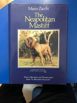 Rare Neapolitan Mastiff Dog Book By Mario Zacchi 1st 1987 " Il Molosso Italiano "