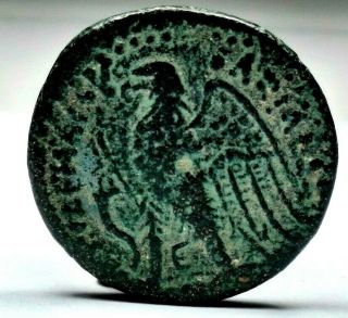 Rare Bronze 11.  32g Ptolemy Coin //1688