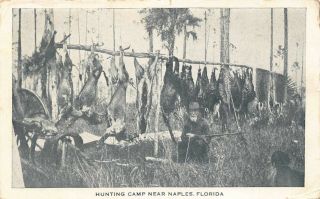 Fl - 1925 Very Rare Florida Early Hunting Camp Near Naples,  Fla - Collier County