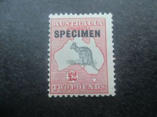 Kangaroo Stamps: £2 Pink Smw Specimen - Rare (d152)