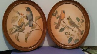 Set Of 2 Rare Vintage Rudolf Freund Bird Lithograph Prints Framed Oval Goldfinch