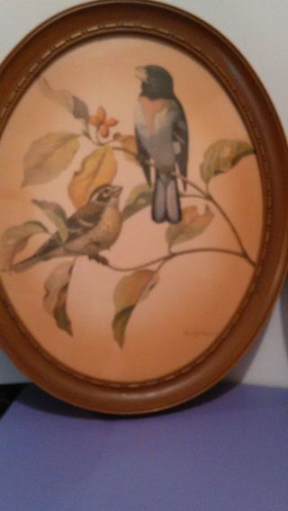 Set of 2 Rare Vintage Rudolf Freund Bird Lithograph Prints Framed Oval Goldfinch 3
