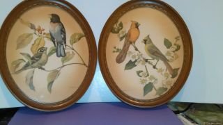 Set of 2 Rare Vintage Rudolf Freund Bird Lithograph Prints Framed Oval Goldfinch 8