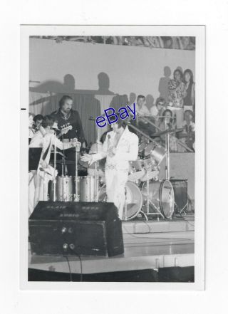 Elvis Presley Kodak Concert Photo - Eagle Suit 1973 - Jim Curtin Rare