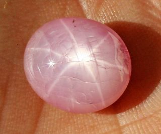 22.  26 Carats Hot Pink Star Asterism Sapphire Cabochon Oval Loose Stone Rare