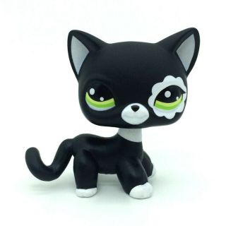 Littlest Pet Shop Rare Black Short Hair Cat Kitty Animal Figure Tpy Lps 2249