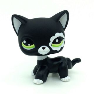 Littlest Pet Shop RARE Black Short Hair Cat kitty Animal Figure Tpy LPS 2249 2