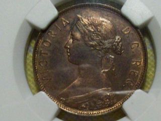 1896 Newfoundland 1 Cent - Ngc Ms 62 Brown - Rare In State