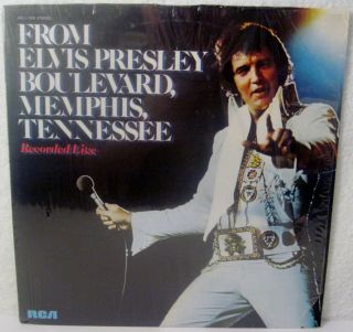 Rare Error 1976 Nm From Elvis Presley Boulevard Memphis,  Tn.  Apl1 - 1506 12 " Lp