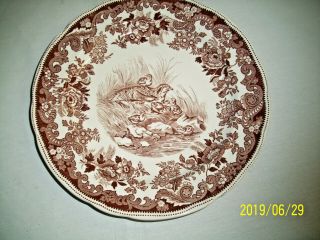 Rare Antique Copeland Spode Tower Game Birds Brown Pattern No.  19 " Grouse " 10 "