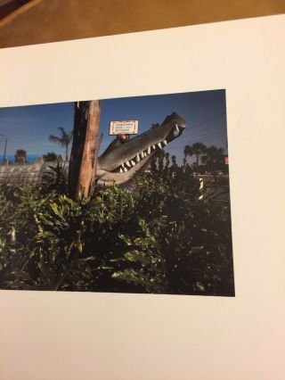 From the Sunshine State : Photographs of Florida by Alex Webb 1st DJ Rare 7