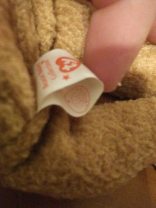 Ty Beanie Baby Curly Lmt Edition Rare Retired with Tags/Tag Protector 4