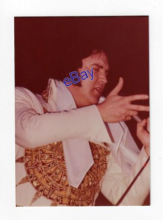 Elvis Presley Kodak Concert Photo - Tender Moment 1977 Jim Curtin Rare