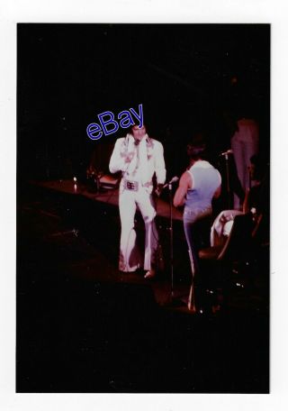 Elvis Presley Kodak Concert Photo - Arabian Suit 1977 - Jim Curtin Rare