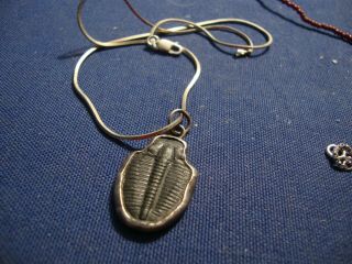 Ultra Rare 1 Million Years Old Fossil Trilobites Sterling Silver Necklace