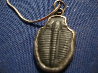 ULTRA RARE 1 MILLION YEARS OLD fossil trilobites STERLING SILVER NECKLACE 2