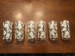 Rare 6 Culver Enameled Daisy Glasses 6 1/4 In