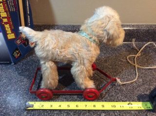 1900’s Rare Antique Dog On Wheels