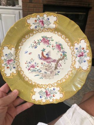 Rare Mintons Minton Cockatrice Gold Yellow Plate 10” Marked