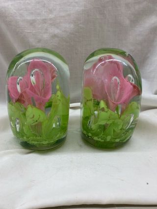 Set Of 2 St Clair Rare Pink Trumpet Flowers Jack In Pulpit Paperweight Art Glass
