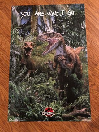 Vintage Jurassic Park The Lost World Movie Poster Rare