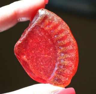 Xxxxl Very Rare Red Lens Seaglass Shard With U.  V.  Glow From Sea Of Japan,  Russia