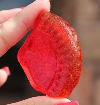XXXXL VERY RARE RED LENS SEAGLASS SHARD WITH U.  V.  GLOW FROM SEA OF JAPAN,  RUSSIA 2