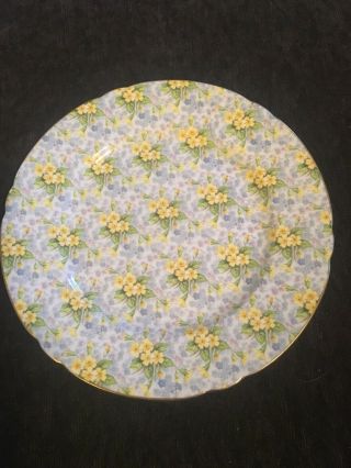 Shelley Fine Bone China England “primrose Chintz” 8 In.  Salad Plate - Rare