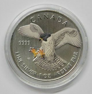 2014 Silver 1 Oz Canada Birds Of Prey Falcon Rare Colorized Coin
