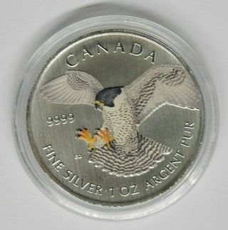 2014 Silver 1 oz Canada Birds of Prey Falcon Rare Colorized Coin 2
