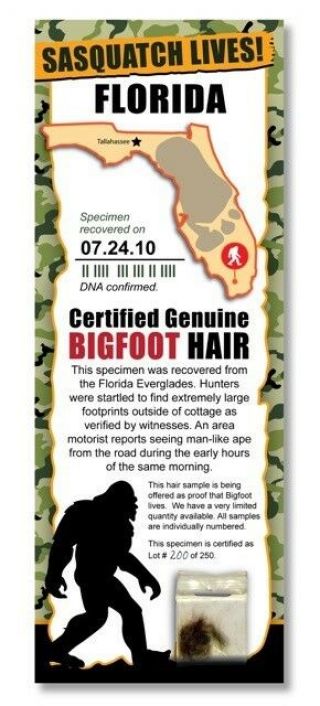 Bigfoot Hair Sample - Florida State Park Rare Unique Gift Boy Child Man Cave