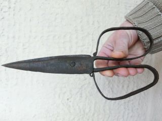 10 " Rare Large Antique 18thc Wrought Hand Forged Iron Scissors Blacksmith Made