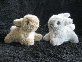 2 Rare Vintage German Steiff Rabbits W.  Button & Tag Hoppy